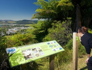 Talk a forest walk to build up your appetite before lunch 